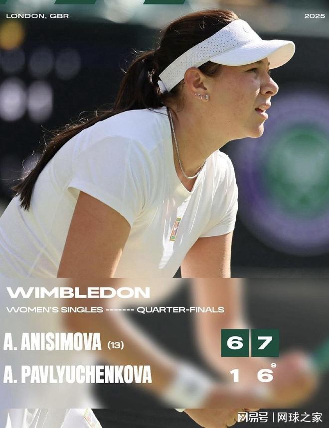 高度发达的 高度发达的