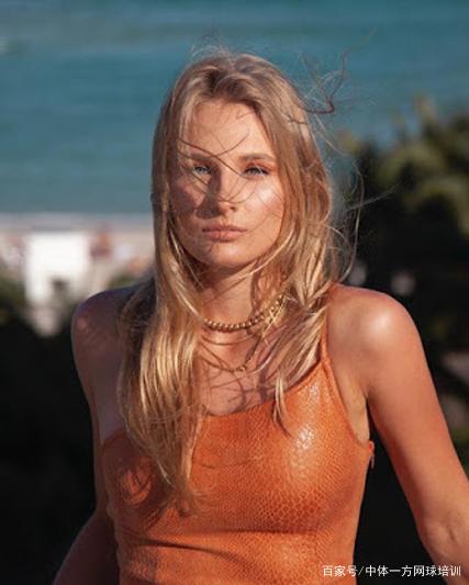 网版图悄然 网版图悄然