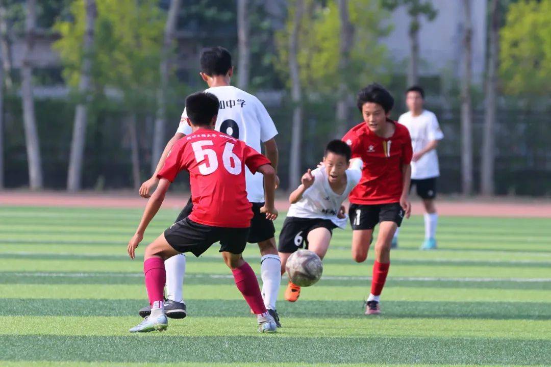 怕并不仅仅 怕并不仅仅
